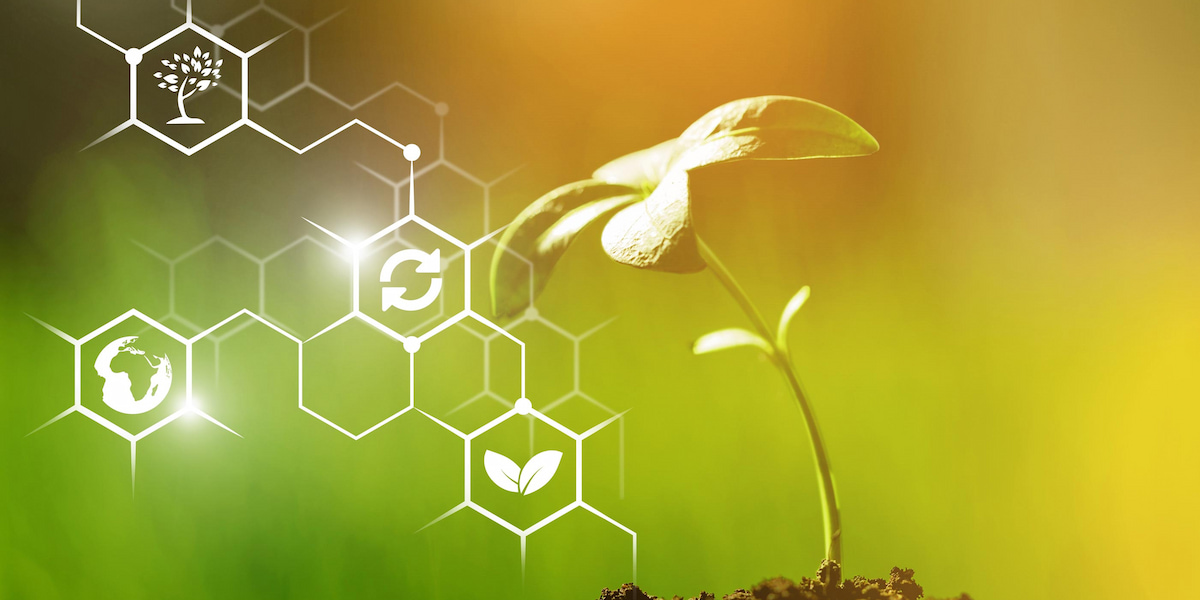 Environmental & Waste Management